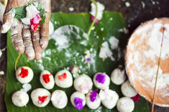 pitra dosh puja